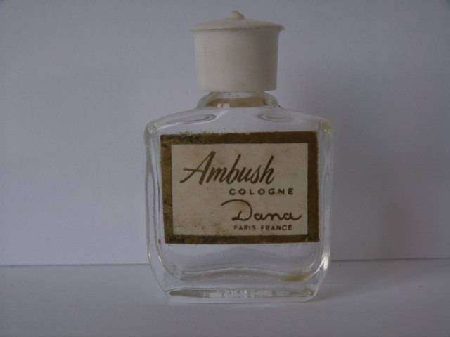 Dana-ambushblc.jpg