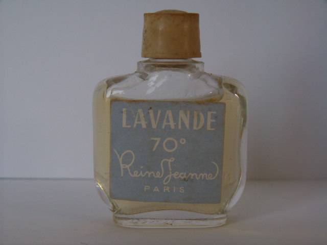 Dana-lavandecrj.jpg