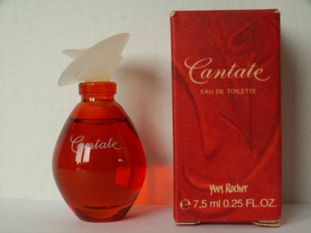 Rocher-cantate.jpg