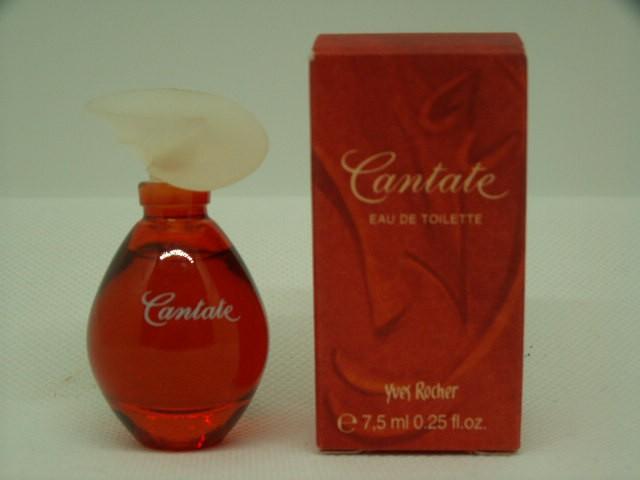 Rocher-cantate2.jpg