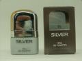 Aigner-silver.jpg