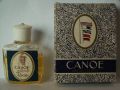 Dana-canoe497.jpg