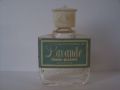 Dana-lavandeptrj.jpg