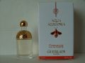 Guerlain-pamplelunecof2.jpg