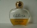 Patou-caline.jpg