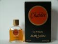 Patou-chaldee.jpg