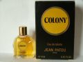 Patou-colony.jpg