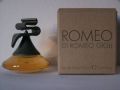 Proteo-gigliromeo.jpg