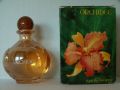 Rocher-orchidee3.jpg