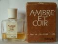 Sauze-ambre.jpg
